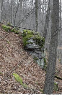 rock cliff overgrown moss 0006